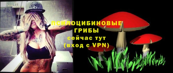 прущий лед Армянск