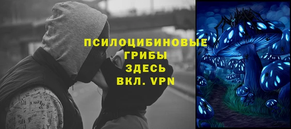 прущий лед Армянск